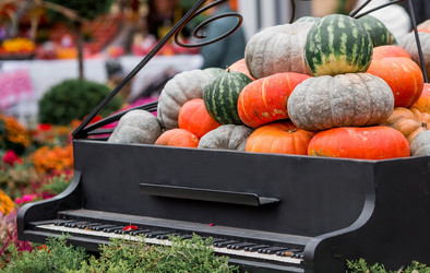 Similar image 21199637