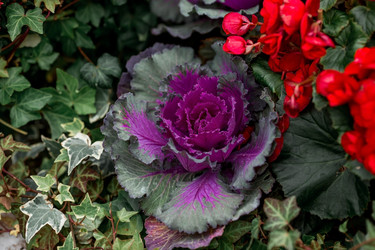 Similar image 21199640