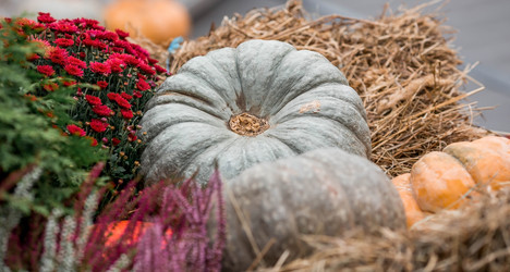 Similar image 21199642