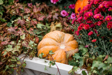 Similar image 21199643