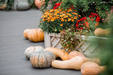 Similar image 21199644