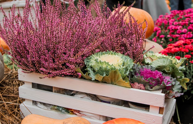 Similar image 21199647