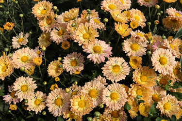 Similar image 21190613