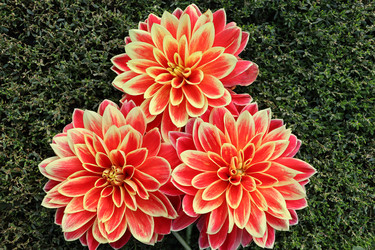 Similar image 21190614