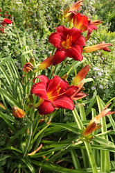 Similar image 21190615