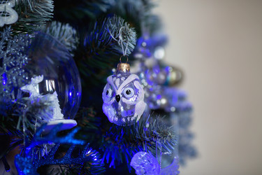 Similar image 21199931