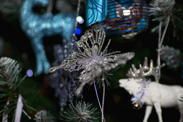 Similar image 21199932