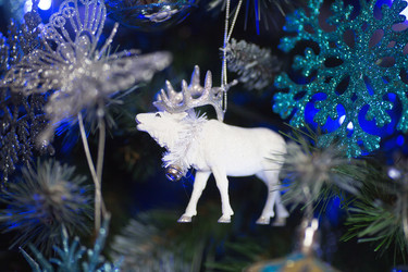 Similar image 21199933