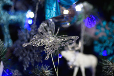 Similar image 21199936