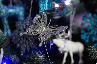 Similar image 21199937