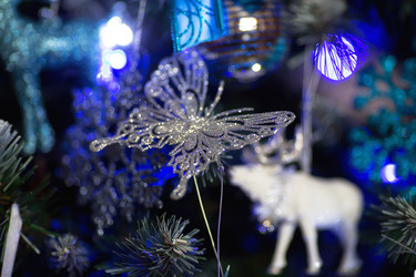 Similar image 21199938