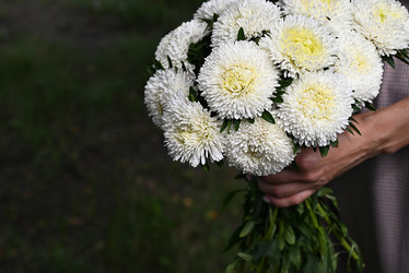 Similar image 21196274