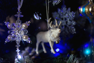 Similar image 21199653