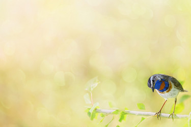 Similar image 21192616