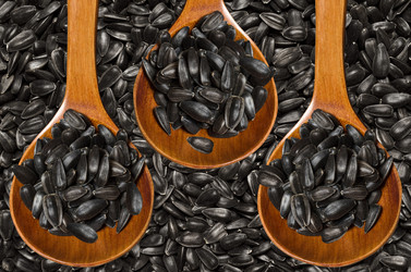 Similar image 21200246