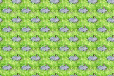 Similar image 21202398