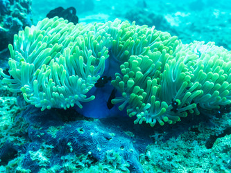 Similar image 21190435