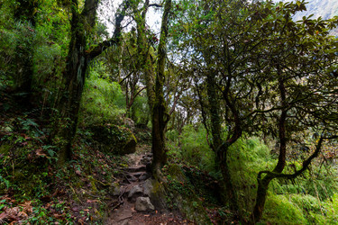 Similar image 21190447