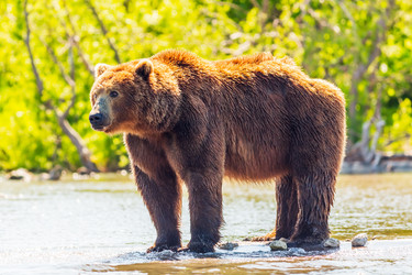 Similar image 21190466