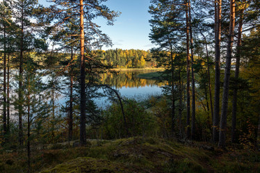 Similar image 21194240