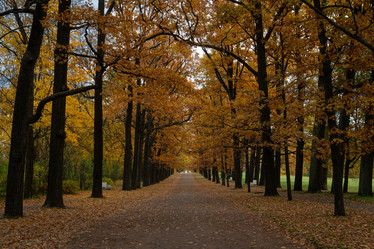 Similar image 21194246