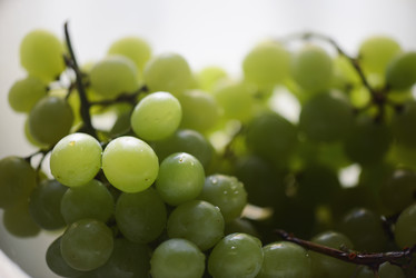 Similar image 21195208