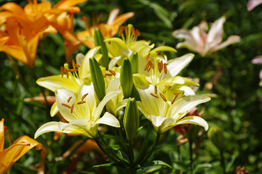 Similar image 21192068