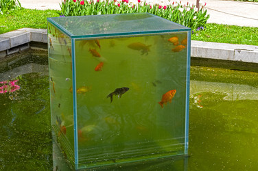 Similar image 21192070