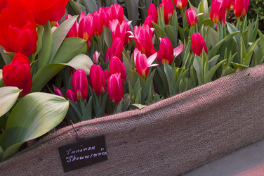 Similar image 21192072