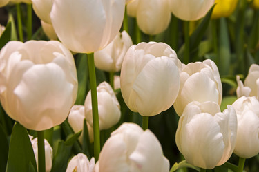 Similar image 21192074