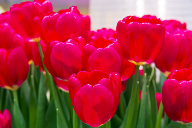 Similar image 21192075