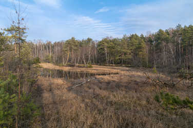 Similar image 21192078