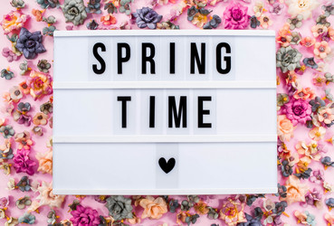 Similar image 21201007