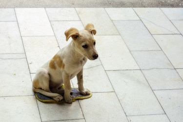 Similar image 21193307