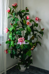 Similar image 21193308