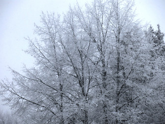 Similar image 21192551