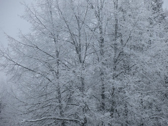 Similar image 21192552