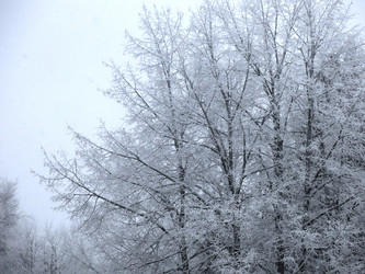 Similar image 21192554