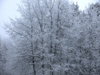 Similar image 21192555