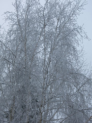 Similar image 21192649