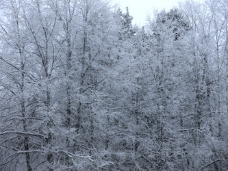 Similar image 21192650