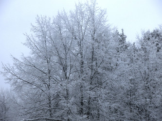 Similar image 21192651