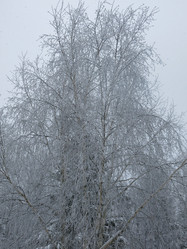 Similar image 21192652