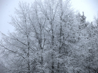 Similar image 21192653