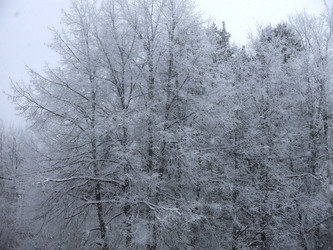 Similar image 21192655