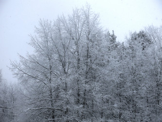 Similar image 21192656