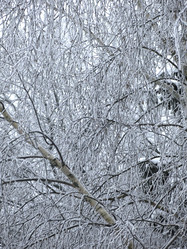 Similar image 21192657