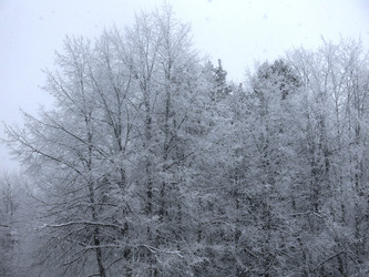 Similar image 21192658