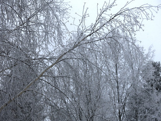 Similar image 21192659