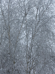 Similar image 21192660